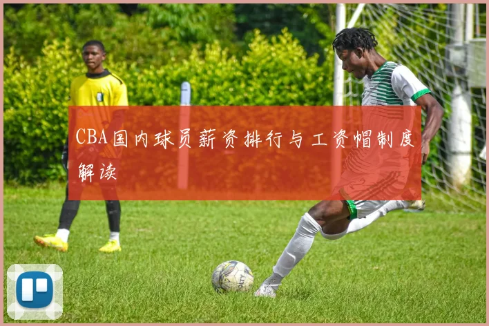 CBA国内球员薪资排行与工资帽制度解读