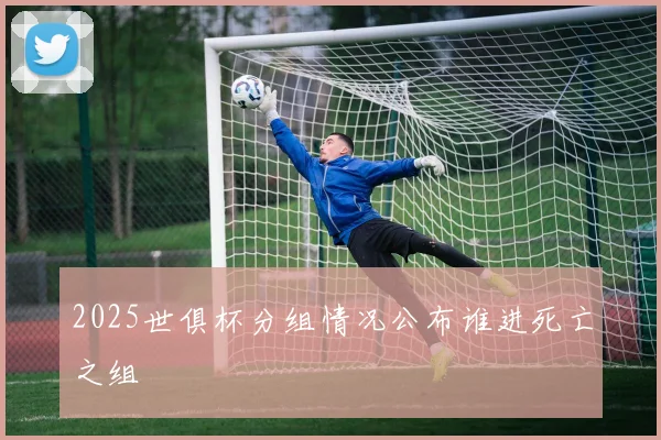 2025世俱杯分组情况公布谁进死亡之组