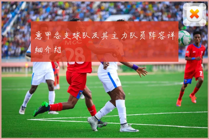 意甲各支球队及其主力队员阵容详细介绍